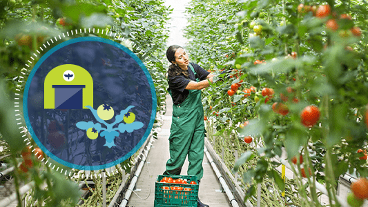 Applying GS1 Standards to Support FSMA 204