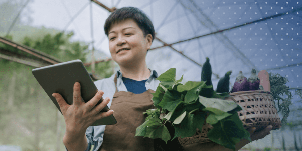 Farmer holding produce while looking at tablet