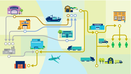 graphic of the supply chain model