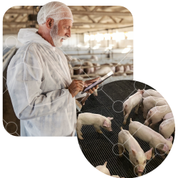 Case Study: Union Farms